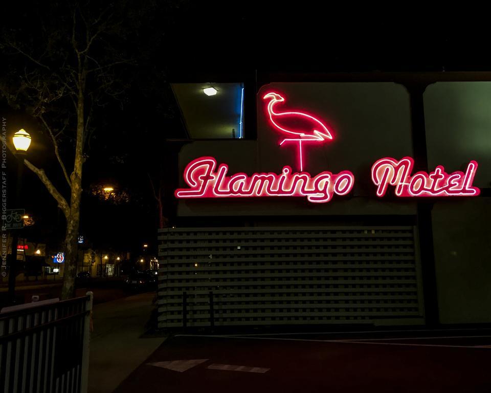 The Flamingo Motel San Jose Bagian luar foto